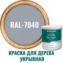 Краска фасадная Profipaints Silver wood fasade 11215_D_2 износостойкая полуматовая цвет RAL-7040 серый - серебристый 0.9 л