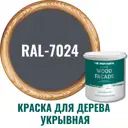Краска фасадная Profipaints Silver wood fasade 11251_D_2 износостойкая полуматовая цвет RAL-7024 серый - серебристый 9 л