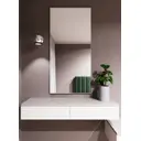 Зеркало интерьерное в алюминиевой раме настенное ONE Mirror 130x70 см серебро