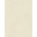 Обои флизелиновые Euro decor Shiba 1.06 м бежевые 7219-21