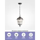 Светильник подвесной уличный MAYTONI Outdoor O413PL-01BZ 60 Вт IP44 цвет коричневый
