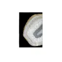 Картина в раме Alumoart "Ammonite" 013.008A, 116x76 см, крепление через профиль