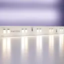 Светодиодная лента Maytoni 20041 19 Вт/м 24 В 10 мм IP20 5 м изменение цвета RGB свет