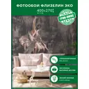 Фотообои флизелиновые Грин-люкс Гранж балерина 400x270 см