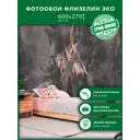 Фотообои флизелиновые Грин-люкс Гранж балерина 600x270 см