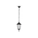 Светильник подвесной уличный Ambrella light St2029 40 Вт IP54 цвет черный прозрачный