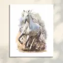 Картина на холсте Postermarket "Белая лошадь" 40x50 см