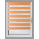 Рулонная штора Prakto Day&Night 40x150 см персиковая