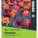 Тюльпан и мускари луковицы 10/11, 30 шт.
