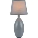 Настольная лампа Toplight Marian Tl0328-t цвет серый/серебристый