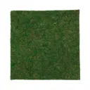 Мох натуральный листовой 30x30x0.5 см