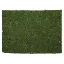Мох обработанный листовой самоклеящийся 45x32 см