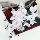 Цветы искусственные Poetry in flowers "Орхидея фаленопсис" 1