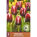 Тюльпан триумф Армани, 5 шт.
