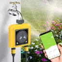Двухканальная система автополива Rainpoint R-2Hub-TTV203WRF Wi-fi хаб, Клапан, датчик