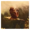 Картина без обрамления Симфония "Птица" 30x30 см