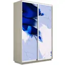 Шкаф-купе Мебельная компания е1 1010 220x120x45 см 7 полок ЛДСП цвет ясень шимо светлый