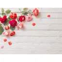 Фотофон безбликовый ART Ф3362 100x75 см