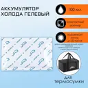 Аккумулятор холода гелевый 100 мл 14.5 х 9.5 х 2.5 см