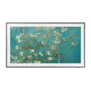 Телевизор Samsung QE65LS03BAUXCE 65" 165 см цвет черный