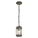 Светильник подвесной уличный Favourite 1057-1P Faro 60 Вт IP44 цвет коричневый
