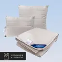 Набор 1 одеяло+1 подушка Himalayas кашмирский пух в хлопковом тике 140x200 см 50x70 см