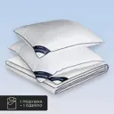 Набор 1 одеяло+1 подушка Nubi лебяжий пух в микрофибре 175x200 см 50x70 см