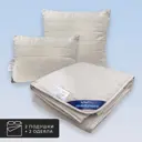 Набор 2 одеяла+2 подушки Sonora верблюжья шерсть в хлопковом тике 175x200 см 50x70 см