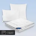 Набор 2 одеяла+2 подушки Landau 50% гусиный пух 50% перо в хлопковом тике 175x200 см 70x70 см