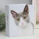 Фотоальбом "Кот" на 200 фото 10x15 см