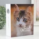 Фотоальбом "Кошка" на 100 фото 10x15 см