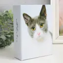 Фотоальбом "Кот" на 100 фото 10x15 см