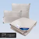 Набор 1 одеяло+2 подушки Himalayas кашмирский пух в хлопковом тике 200x210 см 50x70 см