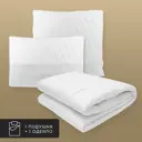 Набор 1 одеяло+1 подушка Eucalyptus эвкалиптовое волокно в чехле тенсел 200x210 см 70x70 см