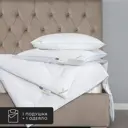 Набор 1 одеяло+1 подушка Linen льняное волокно в хлопковом тике 172x205 см 50x70 см