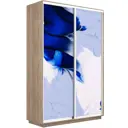 Шкаф-купе МК Е1 45EF1010_120_S Экспресс 120x220x45 см ЛДСП 2 двери 7 полок цвет сонома