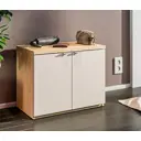 Шкаф для обуви Столплит 59x46x33 см 1 полка ЛДСП цвет белый, бежевый