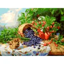 Картина по номерам Белоснежка Черника 30x40 см