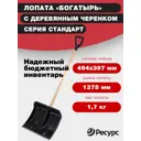 Лопата для уборки снега Фирма цикл 49.4 см x 137.5 см полипропилен с черенком дерево
