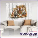 Фотообои бумажные Postermarket 180x119 см Тигр WM-359