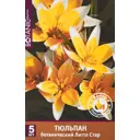 Тюльпан ботанический Литтл Стар, 5 шт.