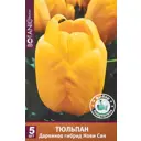Тюльпан дарвинов гибрид Нови Сан, 5 шт.