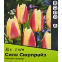 Тюльпан Силк Сюрпрайз Триумф луковица 10/11, 5штук