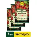 Грунт для клубники и земляники Фаско 25л 3 шт