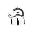 Чайник Perfecto linea Classic Breakfast 4 л нержавеющая сталь цвет серебристый