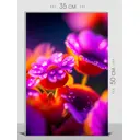 Картина без рамки First class images 101807S, 50x35 см