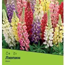 Люпин микс разбор I 5 шт.