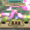 Набор из 3-х поддонов Лето для рассады 26x26x3 см полипропилен
