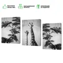 Набор картин на холсте Жирафы 50x70 см 3 шт