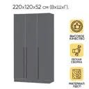 Шкаф распашной Регион 058 120x220x52 см ЛДСП цвет графит